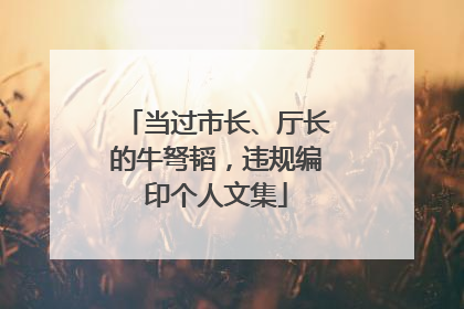 当过市长、厅长的牛弩韬，违规编印个人文集
