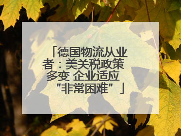 德国物流从业者：美关税政策多变 企业适应“非常困难”