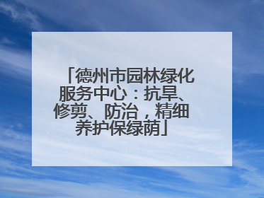 德州市园林绿化服务中心：抗旱、修剪、防治，精细养护保绿荫