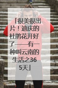 很美很出片！迪庆的杜鹃花开好了——有一种叫云南的生活之365天