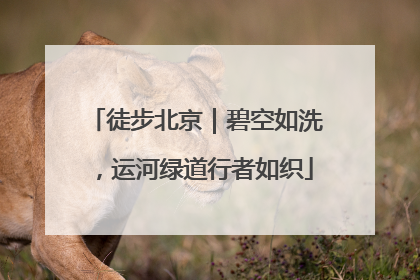 徒步北京｜碧空如洗，运河绿道行者如织