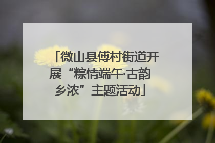 微山县傅村街道开展“粽情端午·古韵乡浓”主题活动