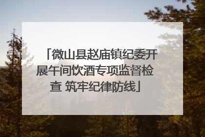 微山县赵庙镇纪委开展午间饮酒专项监督检查 筑牢纪律防线