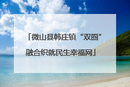 微山县韩庄镇“双圈”融合织就民生幸福网