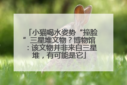 小猫喝水姿势“撞脸”三星堆文物？博物馆：该文物并非来自三星堆，有可能是它
