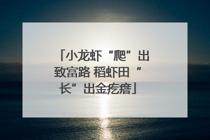 小龙虾“爬”出致富路 稻虾田“长”出金疙瘩