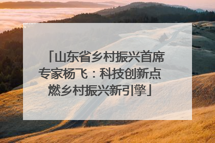 山东省乡村振兴首席专家杨飞：科技创新点燃乡村振兴新引擎