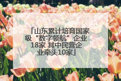 山东累计培育国家级“数字领航”企业18家 其中民营企业牵头10家