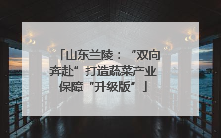山东兰陵：“双向奔赴”打造蔬菜产业保障“升级版”