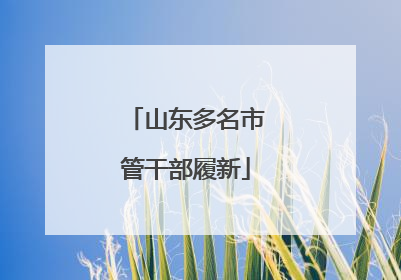 山东多名市管干部履新