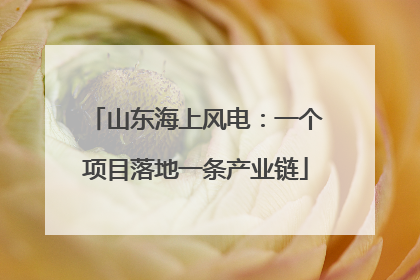 山东海上风电：一个项目落地一条产业链