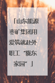 山东能源枣矿集团用爱筑就赴外职工“陇东家园”