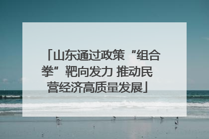 山东通过政策“组合拳”靶向发力 推动民营经济高质量发展
