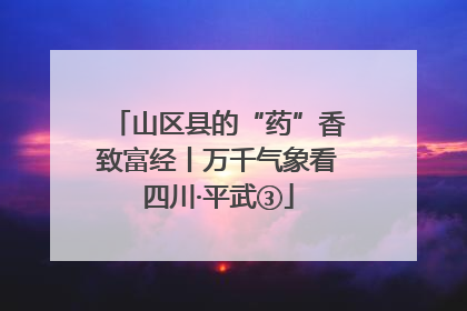 山区县的“药”香致富经丨万千气象看四川·平武③