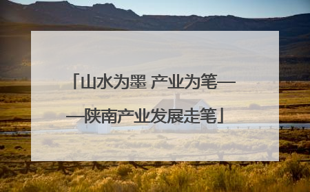 山水为墨 产业为笔——陕南产业发展走笔