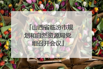 山西省临汾市规划和自然资源局党组召开会议