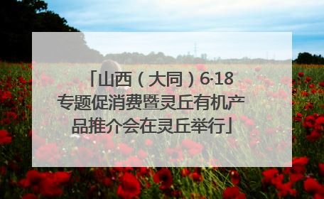 山西（大同）6·18专题促消费暨灵丘有机产品推介会在灵丘举行