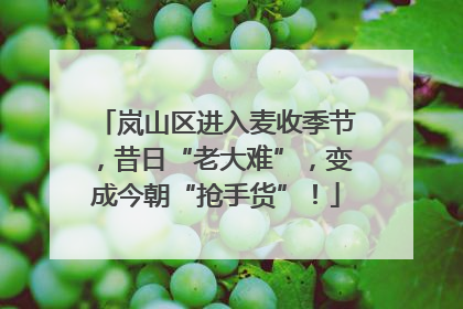 岚山区进入麦收季节，昔日“老大难”，变成今朝“抢手货”！