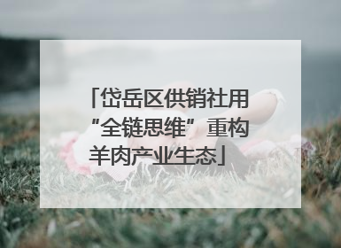 岱岳区供销社用“全链思维”重构羊肉产业生态