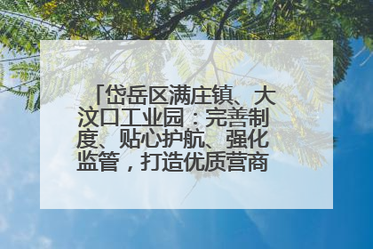 岱岳区满庄镇、大汶口工业园：完善制度、贴心护航、强化监管，打造优质营商“强磁场”