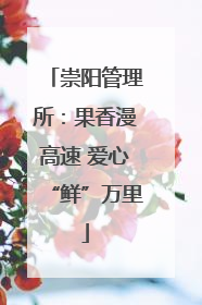 崇阳管理所：果香漫高速 爱心“鲜”万里