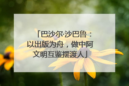 巴沙尔·沙巴鲁：以出版为舟，做中阿文明互鉴摆渡人