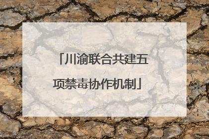 川渝联合共建五项禁毒协作机制