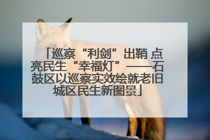 巡察“利剑”出鞘 点亮民生“幸福灯”——石鼓区以巡察实效绘就老旧城区民生新图景