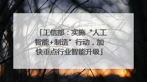 工信部：实施“人工智能+制造”行动，加快重点行业智能升级