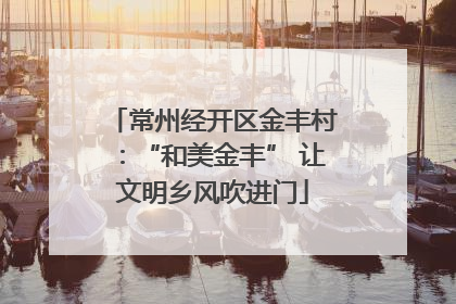 常州经开区金丰村：“和美金丰” 让文明乡风吹进门