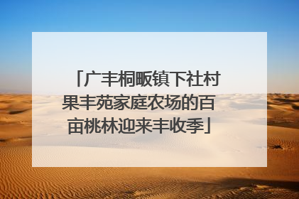 广丰桐畈镇下社村果丰苑家庭农场的百亩桃林迎来丰收季