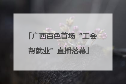广西百色首场“工会帮就业”直播落幕