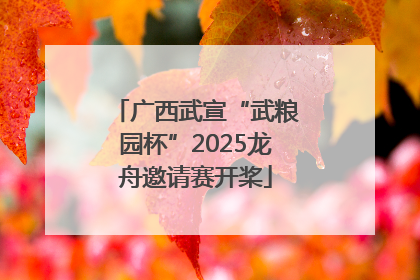 广西武宣“武粮园杯”2025龙舟邀请赛开桨