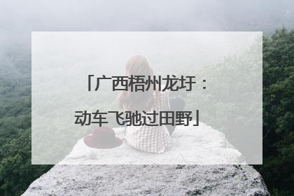 广西梧州龙圩：动车飞驰过田野