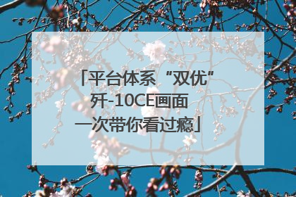 平台体系“双优” 歼-10CE画面一次带你看过瘾