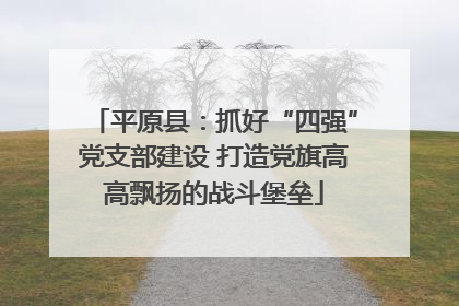 平原县：抓好“四强”党支部建设 打造党旗高高飘扬的战斗堡垒