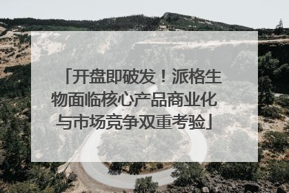 开盘即破发！派格生物面临核心产品商业化与市场竞争双重考验