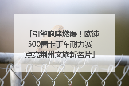 引擎咆哮燃爆！欧速500圈卡丁车耐力赛点亮荆州文旅新名片