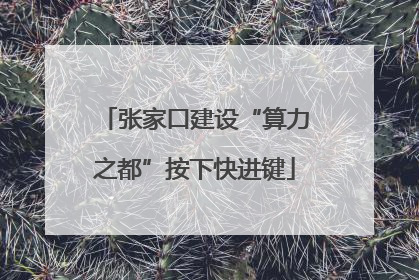 张家口建设“算力之都”按下快进键