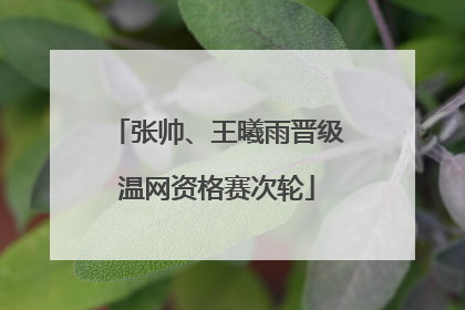 张帅、王曦雨晋级温网资格赛次轮