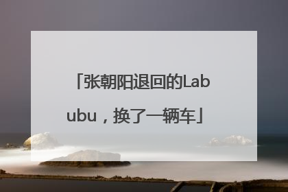 张朝阳退回的Labubu，换了一辆车