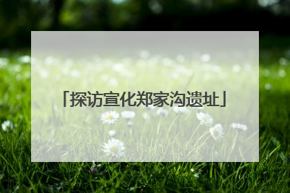 探访宣化郑家沟遗址