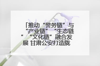 推动“警务链”与“产业链”“生态链”“文化链”融合发展 甘肃公安打造陇原旅游警务品牌