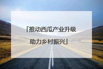 推动西瓜产业升级 助力乡村振兴