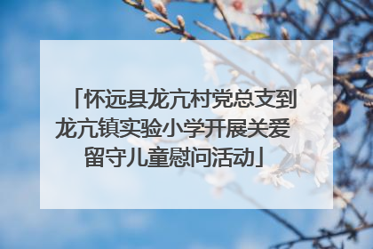 怀远县龙亢村党总支到龙亢镇实验小学开展关爱留守儿童慰问活动