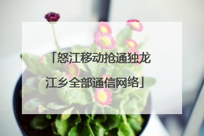 怒江移动抢通独龙江乡全部通信网络