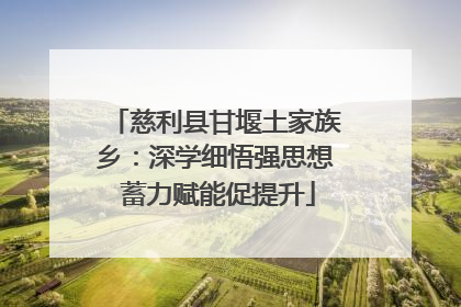 慈利县甘堰土家族乡：深学细悟强思想 蓄力赋能促提升