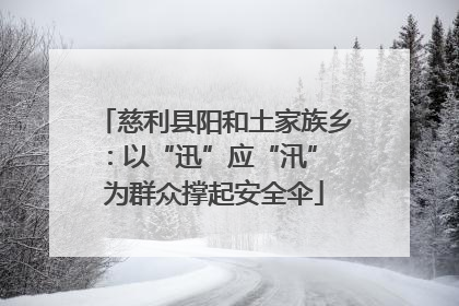 慈利县阳和土家族乡：以“迅”应“汛” 为群众撑起安全伞