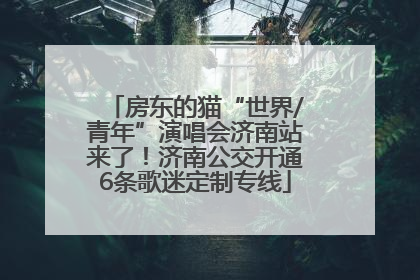 房东的猫“世界/青年”演唱会济南站来了！济南公交开通6条歌迷定制专线