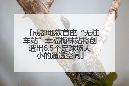 成都地铁首座“无柱车站”幸福梅林站将创造出6.5个足球场大小的通透空间